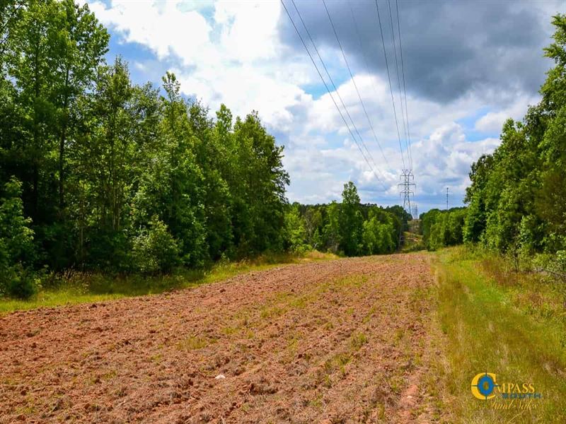 Rossville Tract : Richburg : Chester County : South Carolina