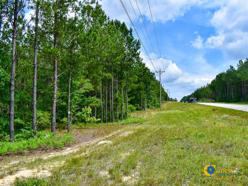 Leesburg Branch Tract : Eastover : Richland County : South Carolina