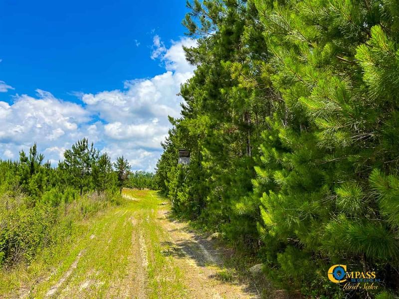 Gardners Farm Road Tract : Swansea : Calhoun County : South Carolina