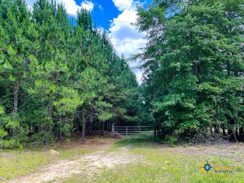 Cowpen Swamp East Tract : Swansea : Calhoun County : South Carolina