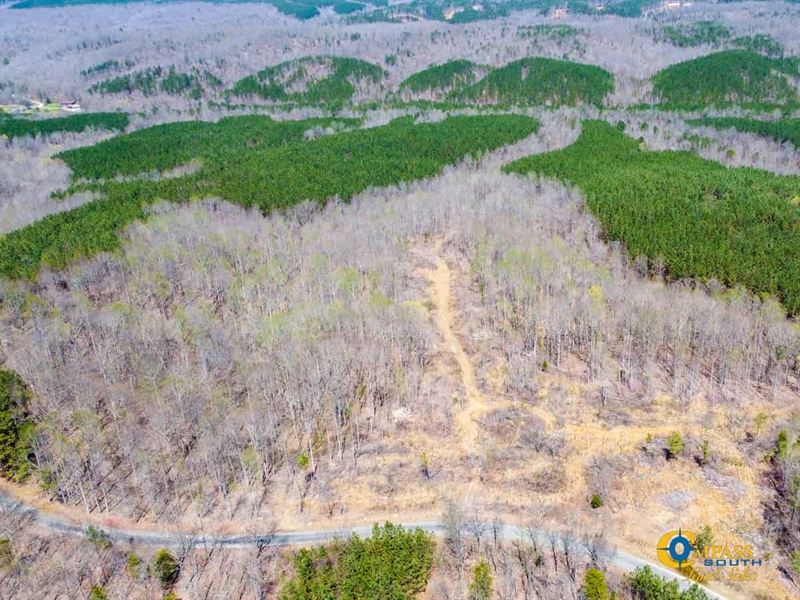 Horse Pond Tract 13 : Hohenwald : Perry County : Tennessee