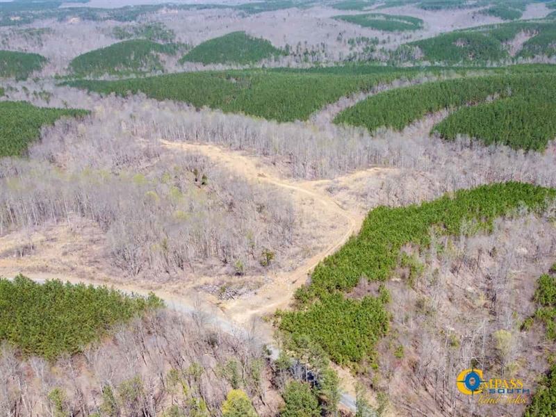 Horse Pond Tract 12 : Hohenwald : Perry County : Tennessee