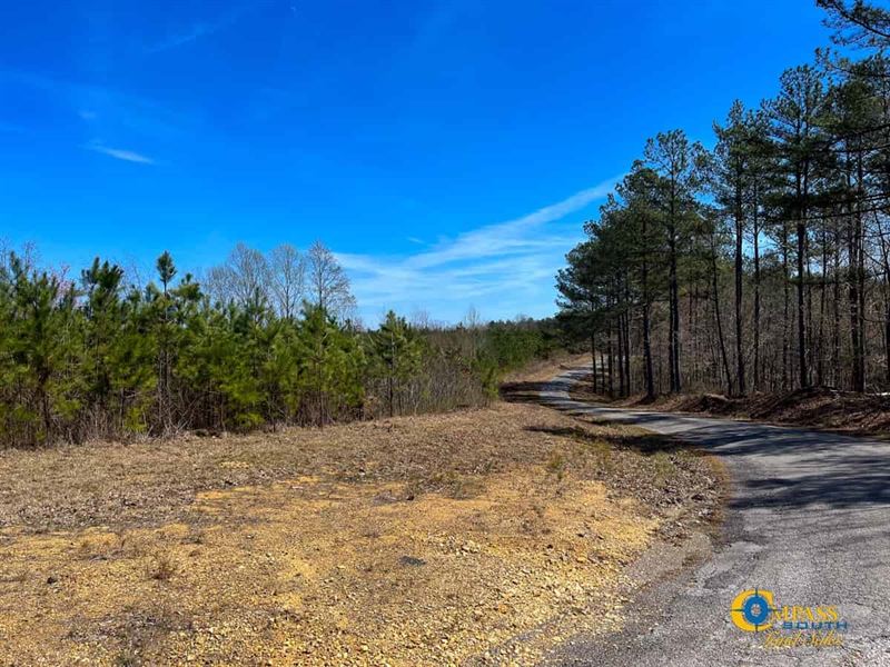 Horse Pond Tract 11 : Hohenwald : Perry County : Tennessee