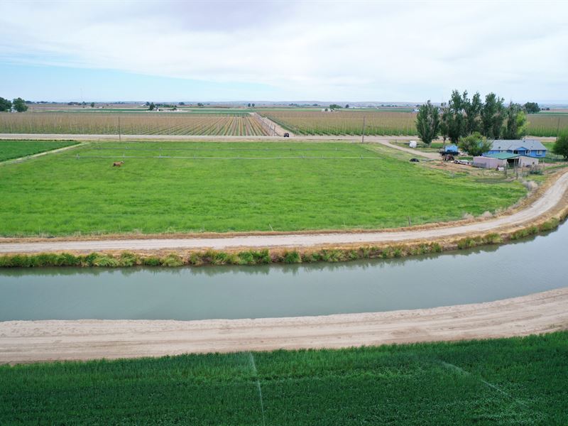 Golden Gate Canal Farm : Wilder : Canyon County : Idaho