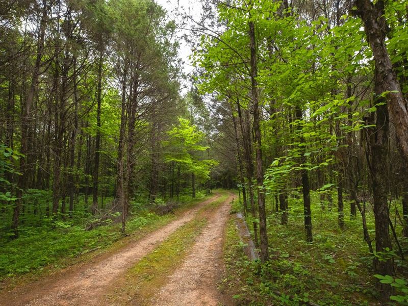 Highway 431 W Of TN / Pickles Lane : Spring Hill : Maury County : Tennessee