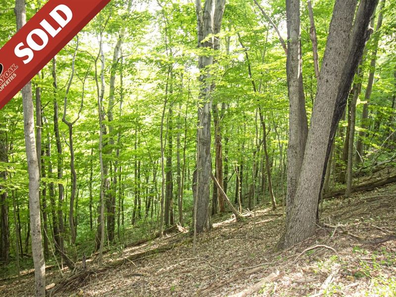 Eddy Ridge Rd, 120 Acres, Washing : New Matamoras : Washington County : Ohio