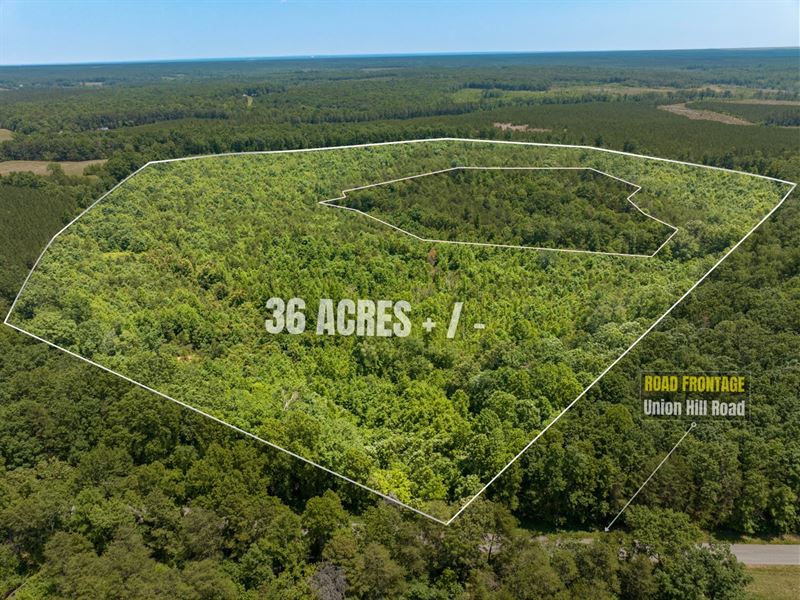 36 Acres in Buckingham County, VA : Woods Corner : Buckingham County : Virginia