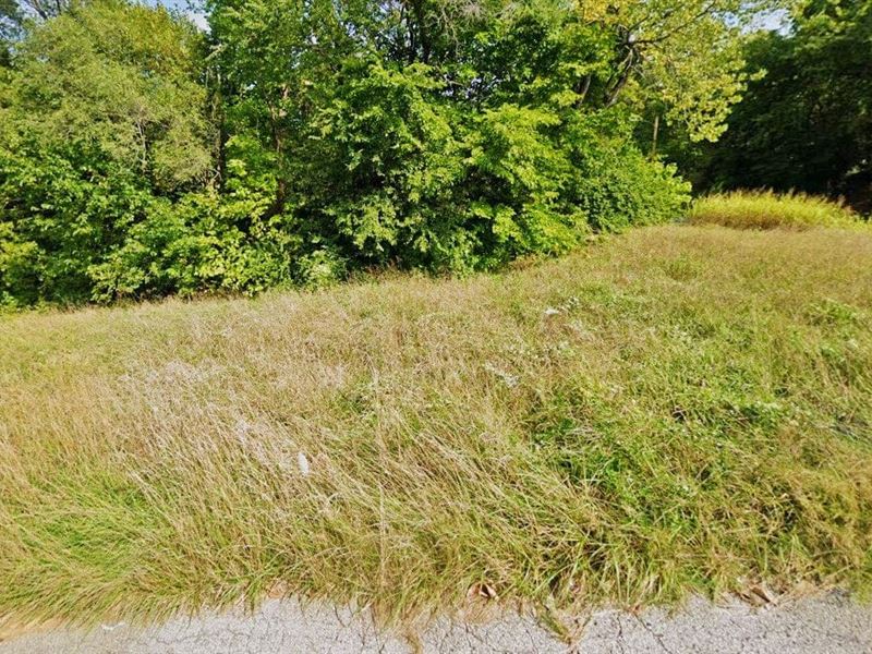 Take Advantage Of Vacant Land : Kansas City : Wyandotte County : Kansas