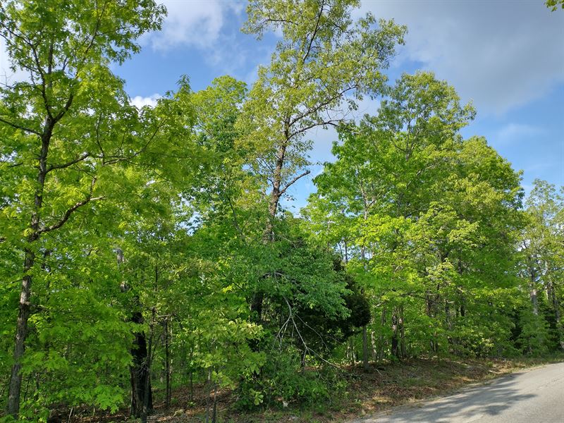 Unlock Freedom : Horseshoe Bend : Izard County : Arkansas