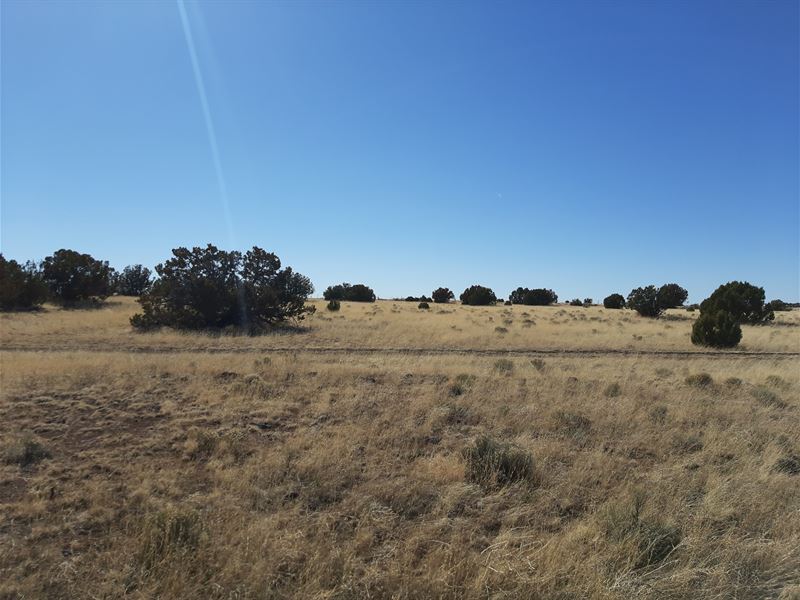 Incredible 1.1 Acre Vacant Lot : Concho : Apache County : Arizona