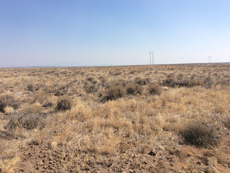 5.17 Acre Property in OR : Chiloquin : Klamath County : Oregon