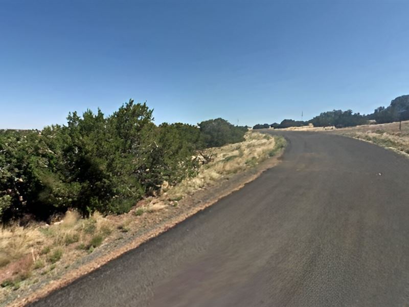 Concho Spring Big City Escape : Concho : Apache County : Arizona