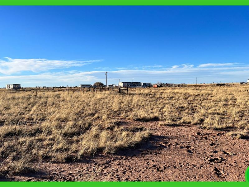 Three Adjacent Lots in Holbrook, AZ : Holbrook : Navajo County : Arizona