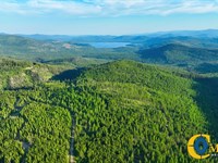 Two Creeks Tract : Marion : Flathead County : Montana