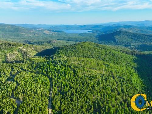 Two Creeks Tract : Marion : Flathead County : Montana