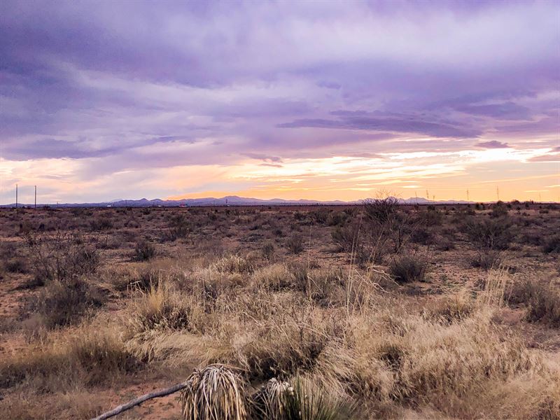 Nature's Paradise Awaits : Deming : Luna County : New Mexico