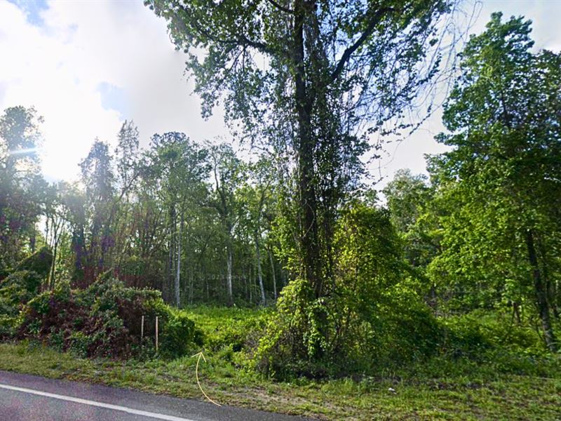 Perfect for Recreational Investment : Satsuma : Putnam County : Florida