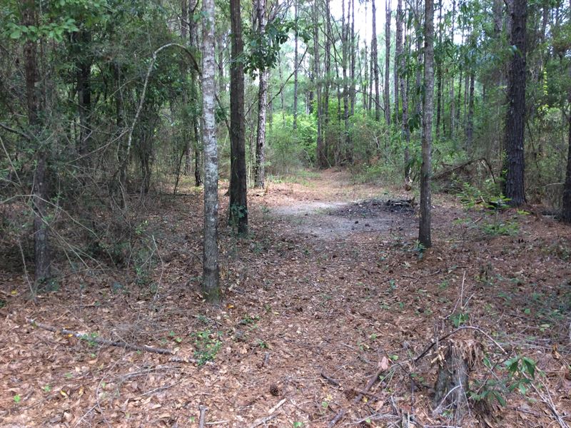 Weaver Place Rd Tract : Opp : Covington County : Alabama