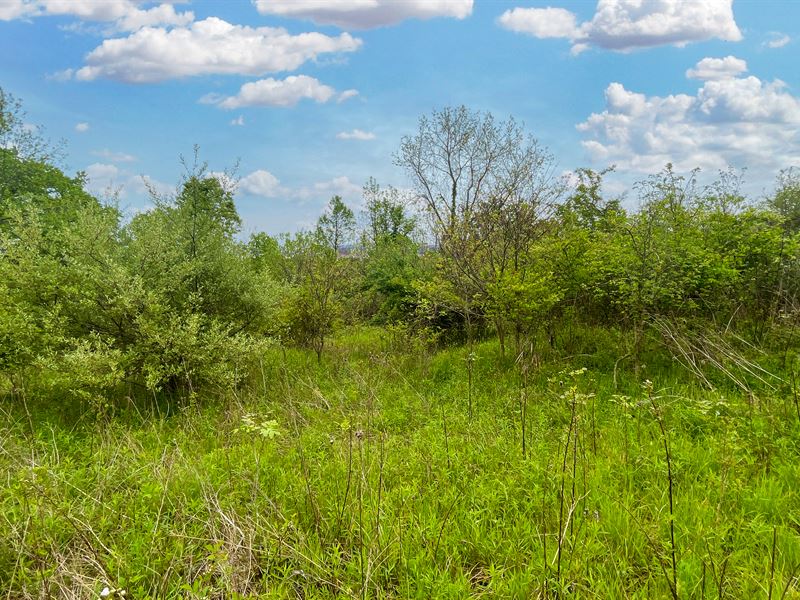 Rural Acreage Near Wolf Run Lake : Caldwell : Noble County : Ohio