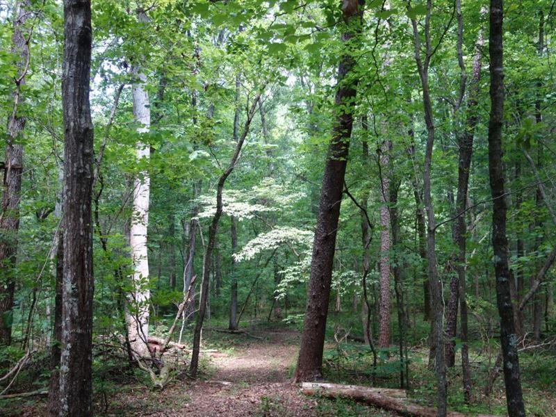 Recreational Land with Home Site : Rock Hill : York County : South Carolina