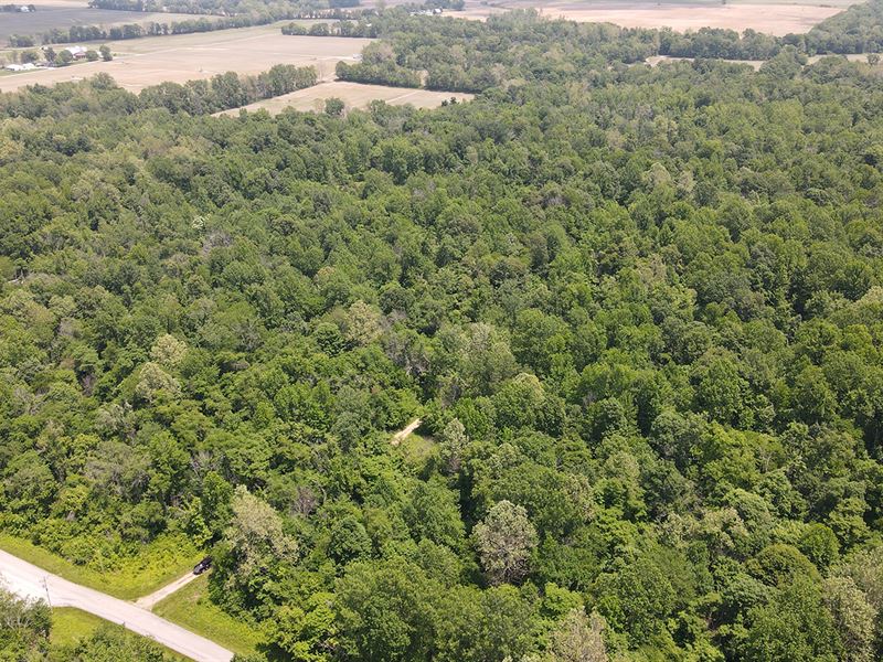 Orange & Pike County Land Auctions : French Lick : Orange County : Indiana