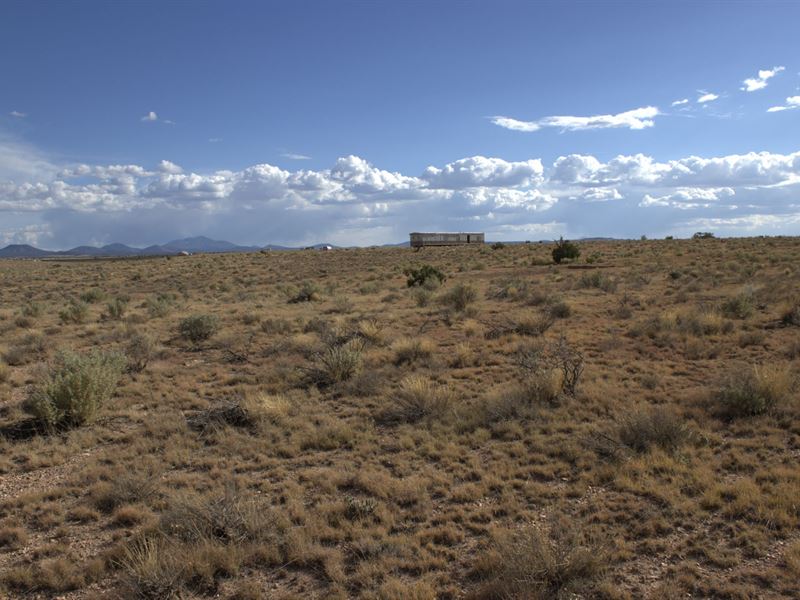 An Incredible Land Opportunity : Williams : Coconino County : Arizona