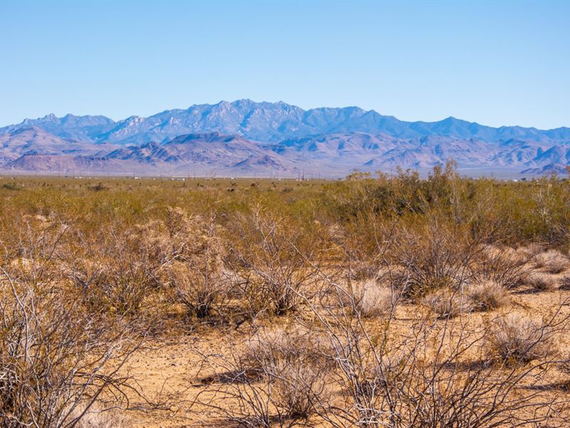 1.13 Ac with Scenic Desert Beauty : Golden Valley : Mohave County : Arizona