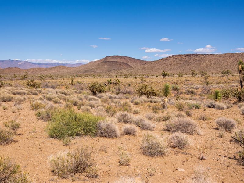 1.13 Ac with Desert & Mountain View : Golden Valley : Mohave County : Arizona