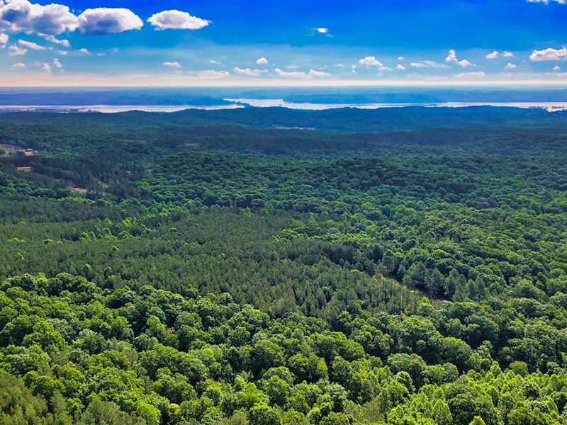12 Wooded Acres Near Kentucky Lake : Big Sandy : Benton County : Tennessee