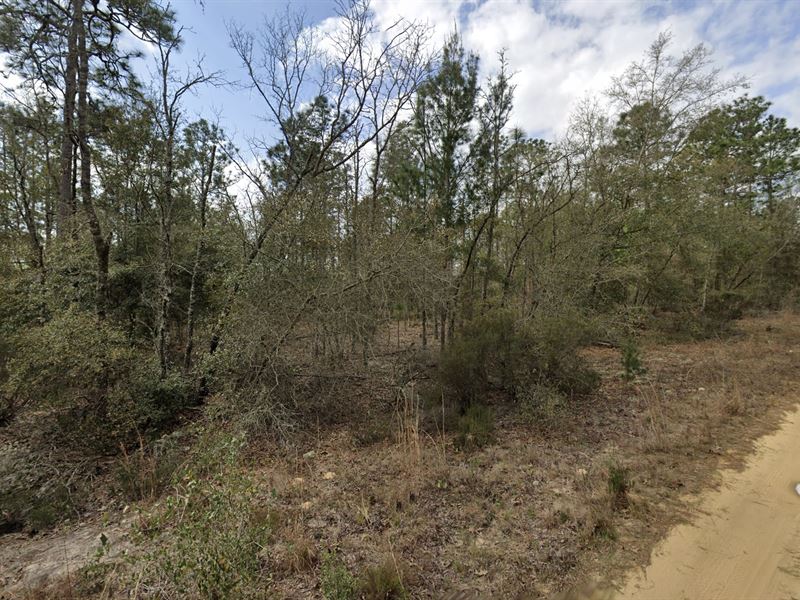 Find Your Own Paradise in Florida : Interlachen : Putnam County : Florida