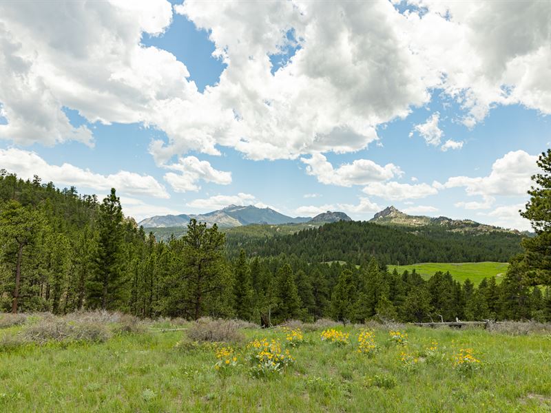 Esterbrook River Frontage : Esterbrook : Converse County : Wyoming