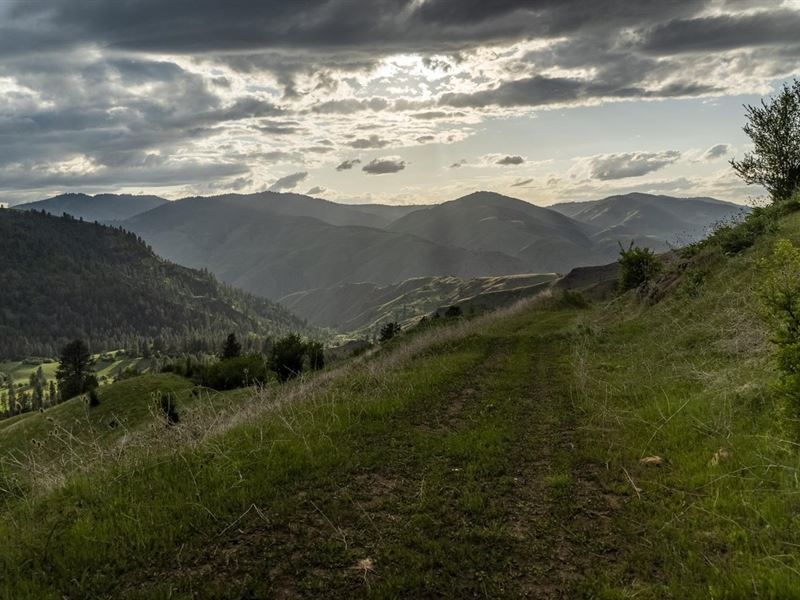 John Day Ranch, Idaho : Lucile : Idaho County : Idaho