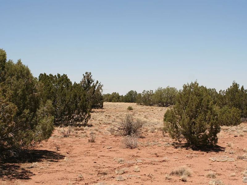 Get Your AZ Glow On for $275/Mo : Snowflake : Navajo County : Arizona