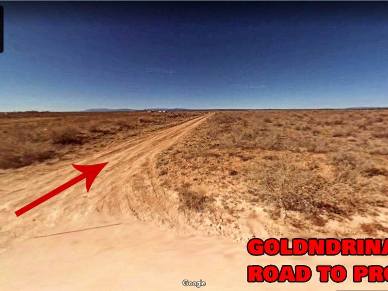 Land for Sale in McIntosh, NM : McIntosh : Torrance County : New Mexico