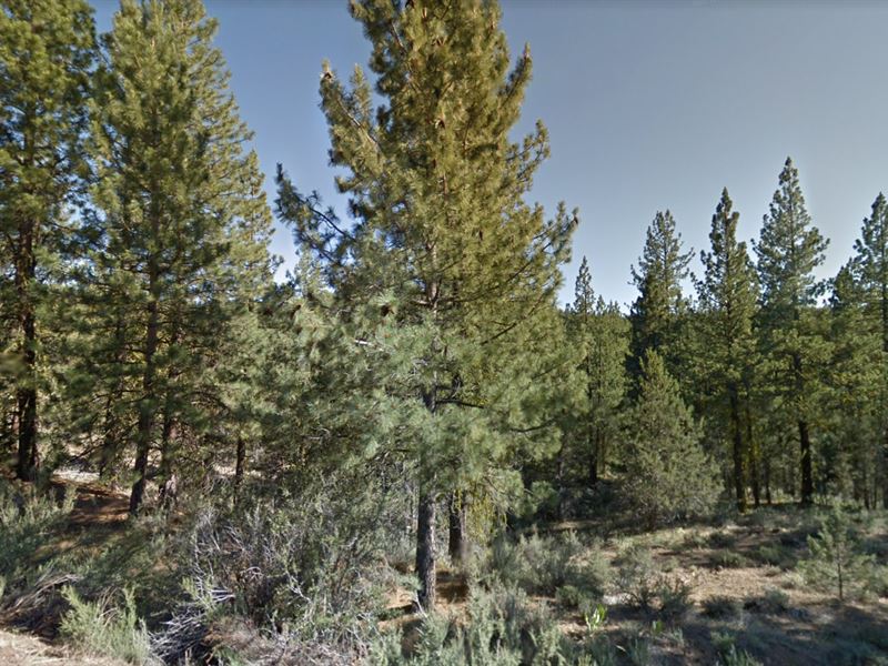 Create Insane Memories on 0.93 Acre : Christensen : Modoc County : California