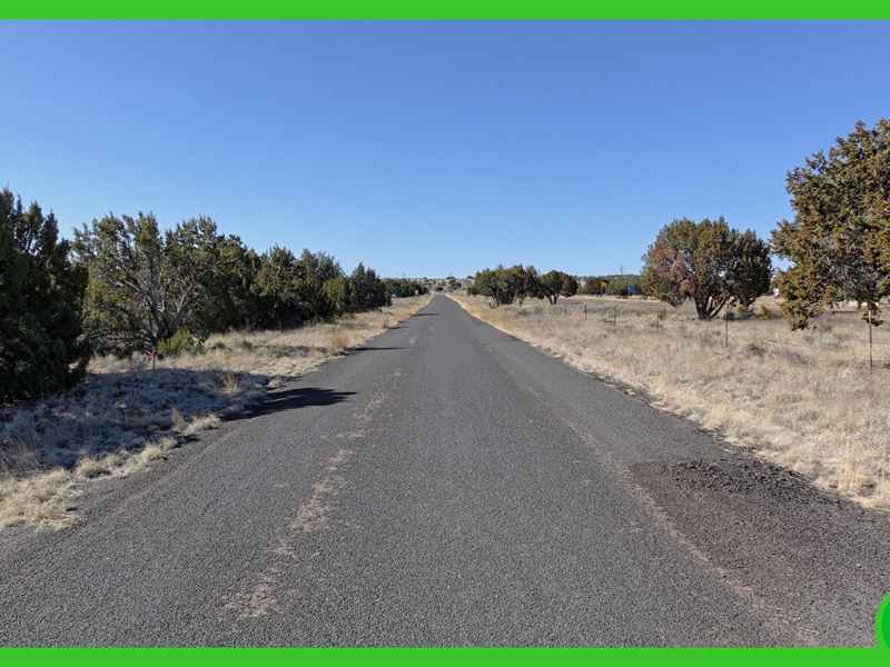 .46 Acre in Concho, Arizona : Concho : Apache County : Arizona