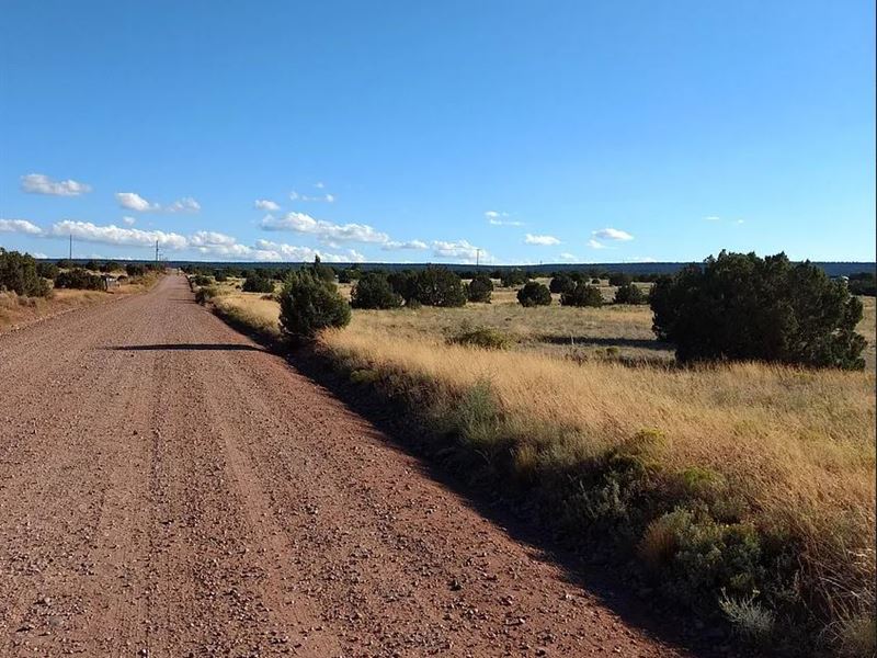 Striking Gold in Snowflake, $375/Mo : Snowflake : Navajo County : Arizona