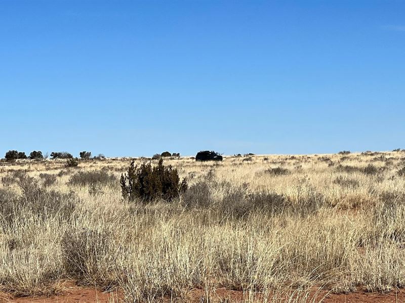 Tame The Wild West for Only $125/Mo : Snowflake : Navajo County : Arizona