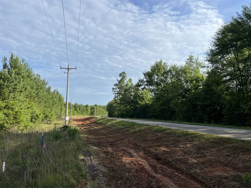 Newbia Mini Farm-Tract 4 : Elba : Coffee County : Alabama