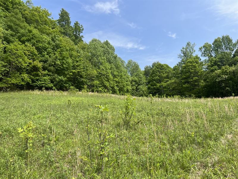Waterfall & Lots of Homesites : Banner Elk : Watauga County : North Carolina