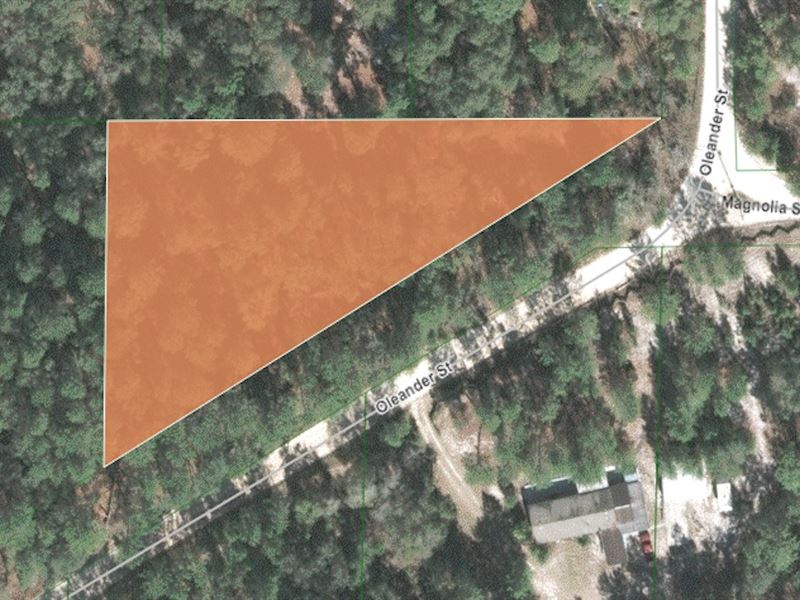 Beautiful Acre Lot Near Scenic Lake : Pomona Park : Putnam County : Florida
