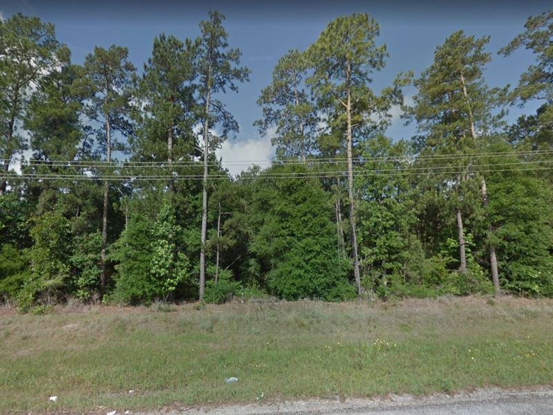 .21 Acre Heaven Awaits You in Texas : Ivanhoe : Tyler County : Texas