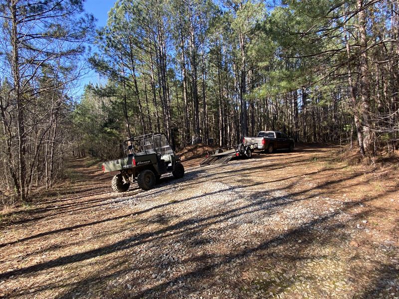 Coosa River, Pond & Hunting : Ohatchee : Calhoun County : Alabama