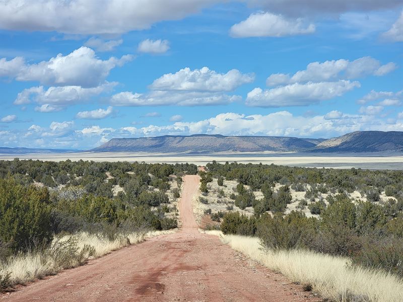 Own 3.18 Ac Lot in Yavapai County : Seligman : Yavapai County : Arizona