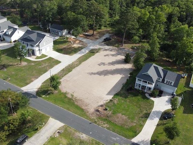 Market Based Price Improvement : Newport : Carteret County : North Carolina