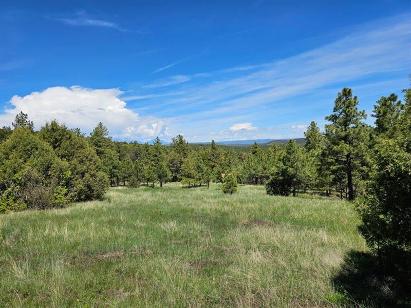 F42 Santa Fe Trail Ranch : Trinidad : Las Animas County : Colorado