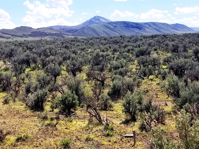 Accessible with Mountain Views : Elko : Elko County : Nevada