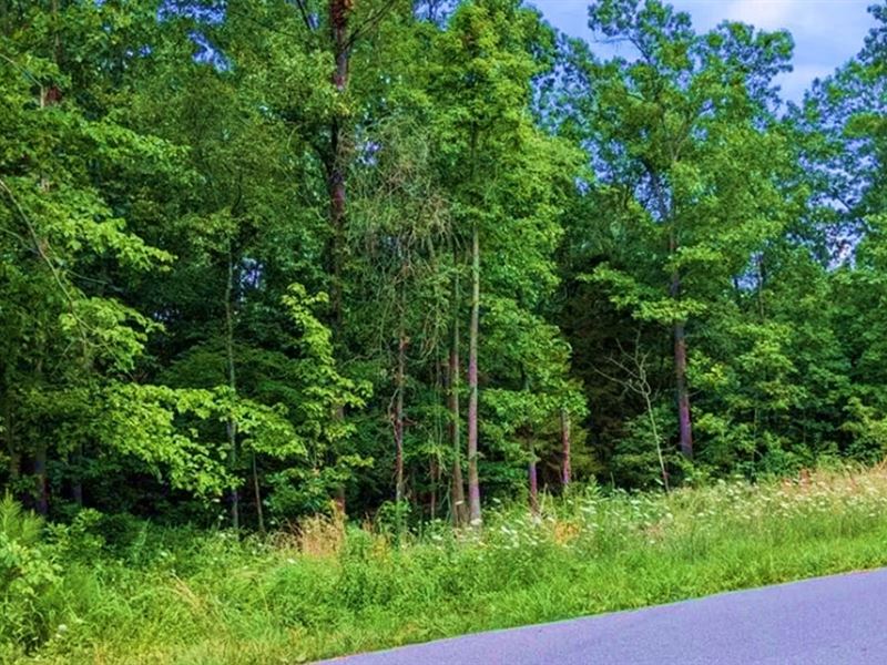 Make An Offer on 0.49 Acre Lot, AZ : Bella Vista : Benton County : Arkansas