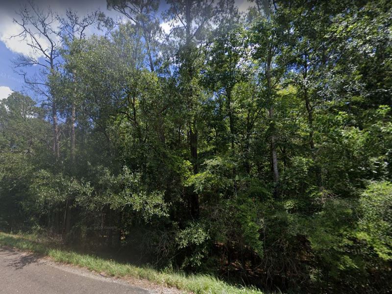 Build Your Dream Home on 0.20 Acres : Ivanhoe : Tyler County : Texas