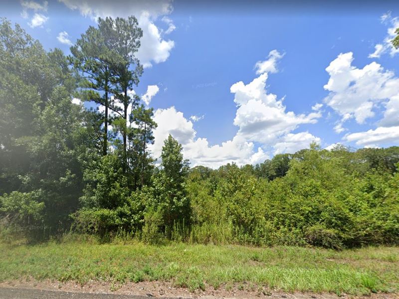 Start Fresh with Your Loved Ones : Ivanhoe : Tyler County : Texas